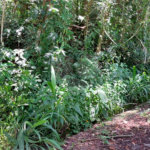 Terreno à venda no condomínio Sausalito, Mairiporã - SP