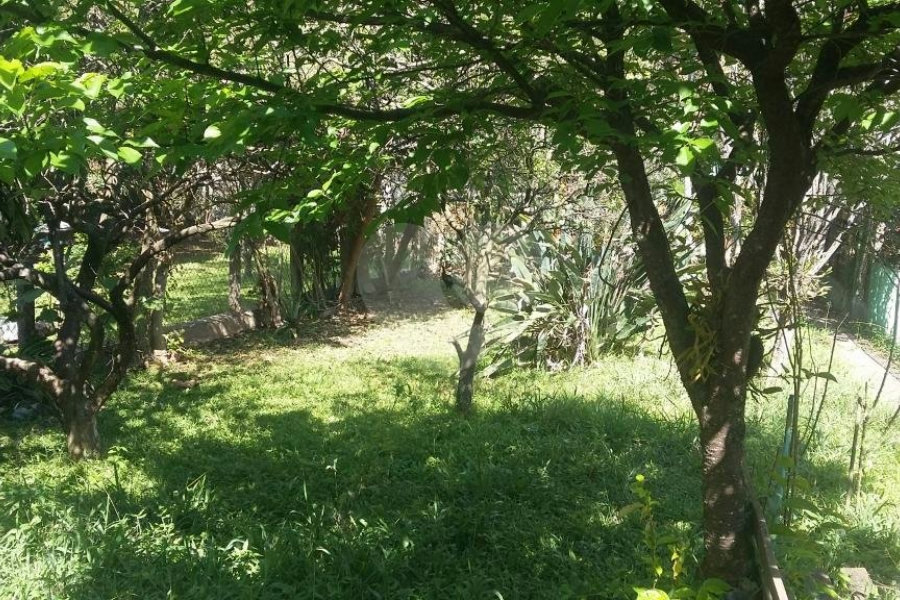 Casa à venda com 1 quarto em Parque Mandaqui, São Paulo, SP
