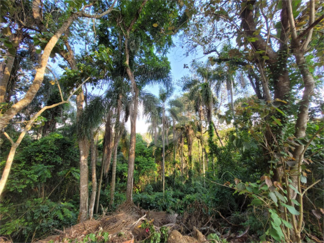 Terreno à venda no condomínio Sausalito, Mairiporã - SP