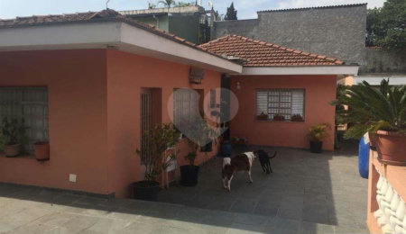 Casa Térrea à venda com 3 quartos em Vila Nova Cachoeirinha, São Paulo, SP