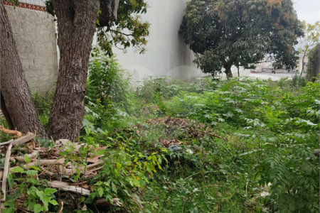 Terreno à venda em Vila Constança, São Paulo, SP