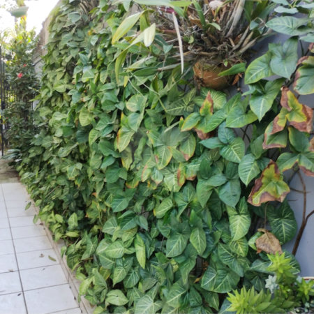 Casa de Vila à venda com 3 suítes em Jardim Londrina, São Paulo, SP