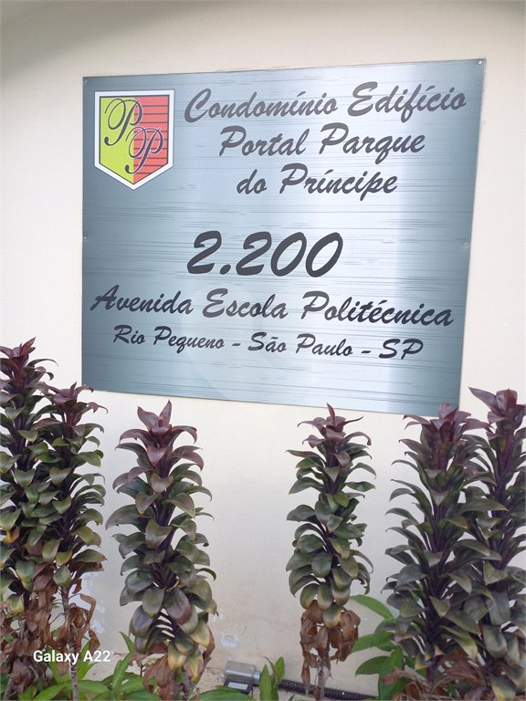 Apartamento à venda ou para alugar com 2 quartos em Rio Pequeno, São Paulo, SP