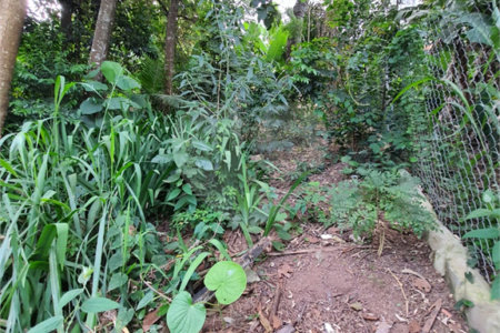 Loteamento à venda em Jardim Amália, São Paulo, SP