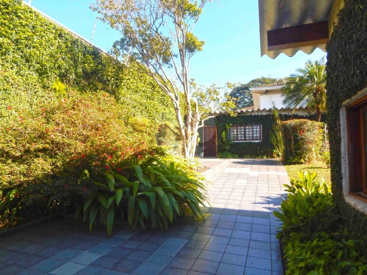 Casa Térrea à venda com 3 quartos, sendo 1 suíte,  em Chácara Monte Alegre, São Paulo, SP