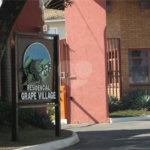 Casa à venda com 3 quartos, sendo 1 suíte, no condomínio Residencial Grape Village, Vinhedo - SP