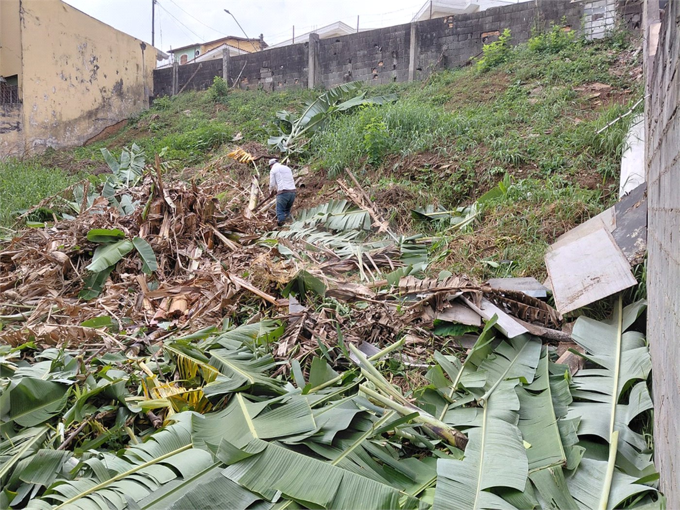 Terreno à venda em Tucuruvi, São Paulo, SP