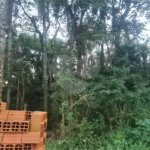 Condomínio à venda em Serra da Cantareira, Mairiporã, SP