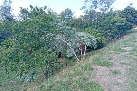 Terreno à venda em Observatório, Vinhedo, SP