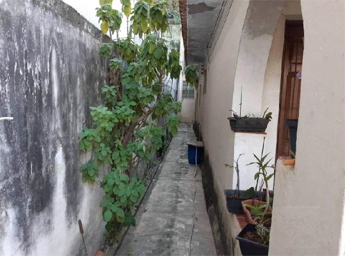 Casa à venda com 3 quartos em Vila Indiana, São Paulo, SP