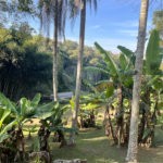 Sítio à venda com 4 quartos, sendo 1 suíte, em Caete (mailasqui), São Roque, SP