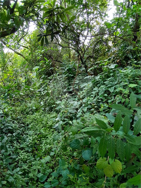 Terreno à venda em Vila Irmãos Arnoni, São Paulo, SP