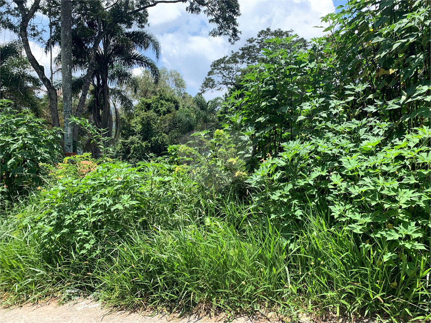Terreno à venda em Roseira, Mairiporã, SP