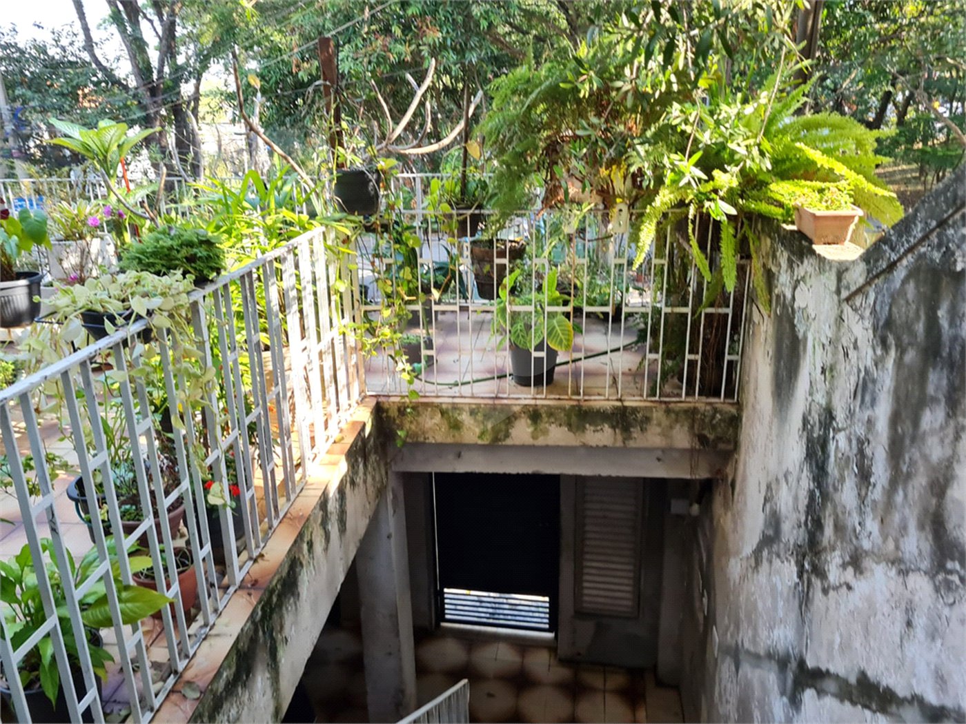 Casa à venda com 3 quartos em Jardim Bonfiglioli, São Paulo, SP