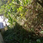 Terreno à venda em Tremembé, São Paulo, SP