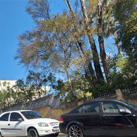 Terreno à venda no Centro, Bom Jesus dos Perdões, SP