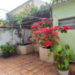 Casa à venda ou para alugar com 2 quartos em Alto da Lapa, São Paulo, SP