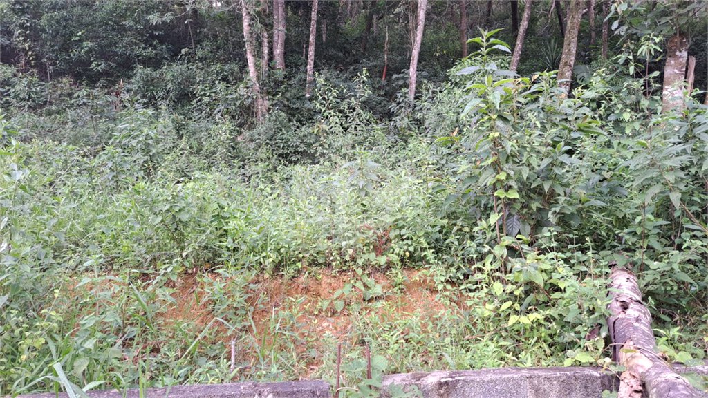 Terreno à venda em Terra Preta (terra Preta), Mairiporã, SP