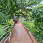 Casa à venda ou para alugar com 4 quartos, sendo 2 suítes, em Vila Mazzei, São Paulo, SP