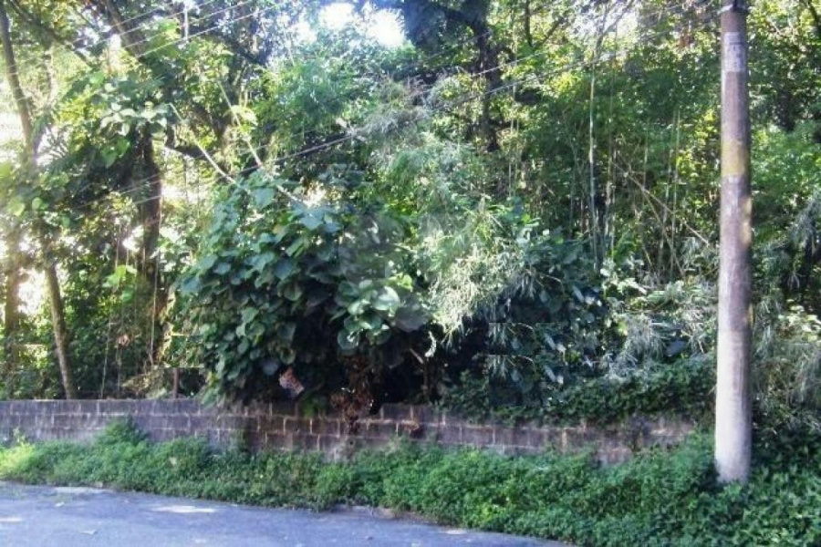 Terreno à venda em Horto Florestal, São Paulo, SP