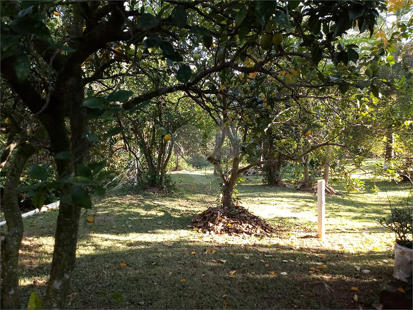 Chácara à venda com 8 quartos em Loteamento Chácara Val Paraiso, Atibaia, SP