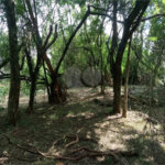 Terreno à venda em Vila Pedra Branca, São Paulo, SP