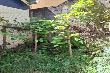 Casa à venda com 3 quartos em Sumaré, São Paulo, SP