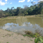 Sítio à venda em Tupinambá, Porto Feliz, SP