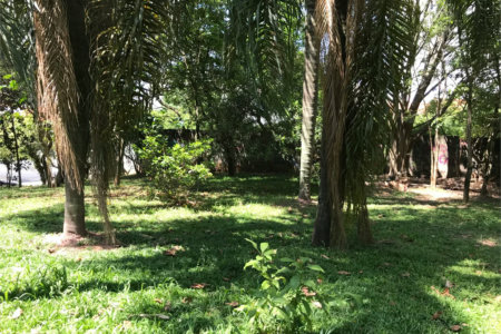 Terreno à venda em Lar São Paulo, São Paulo, SP