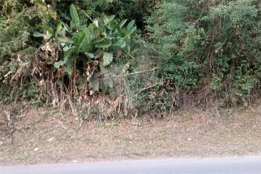 Terreno à venda em Serra da Cantareira, Mairiporã, SP