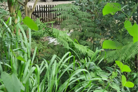 Loteamento à venda em Jardim Amália, São Paulo, SP
