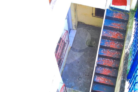 Sobrado à venda com 4 quartos em Barra Funda, São Paulo, SP