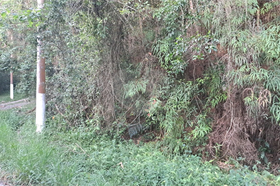 Terreno à venda no condomínio Associação Reserva das Hortênsias, Mairiporã - SP