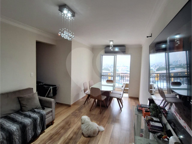 Apartamento à venda com 3 quartos, sendo 1 suíte,  em Vila Maria, São Paulo, SP