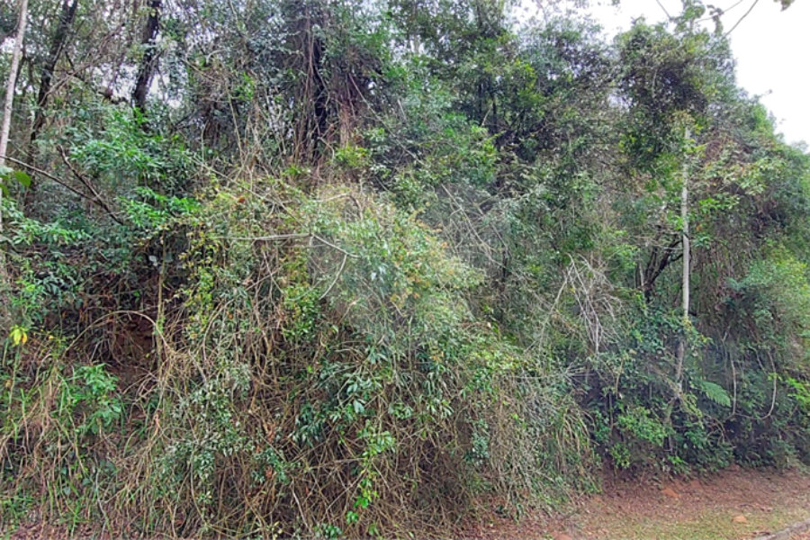 Terreno à venda no condomínio Alpes da Cantareira, Mairiporã - SP