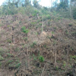 Terreno à venda no condomínio Sausalito, Mairiporã - SP