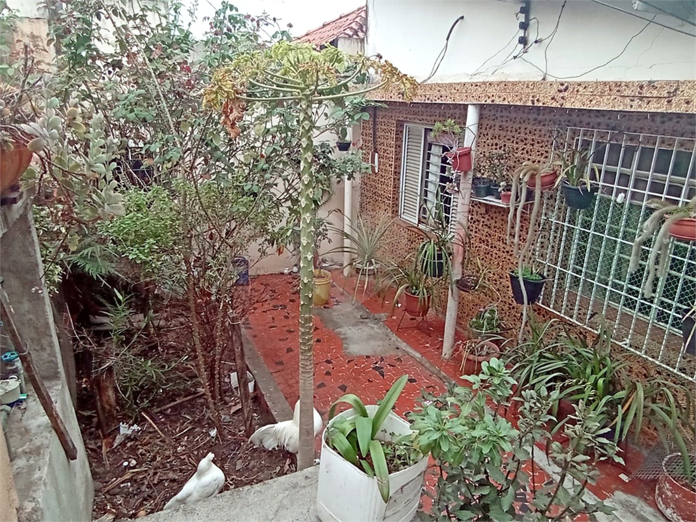 Casa Térrea à venda com 2 quartos em Vila Graziela, São Paulo, SP