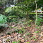 Terreno à venda em Jardim Leonor, São Paulo, SP
