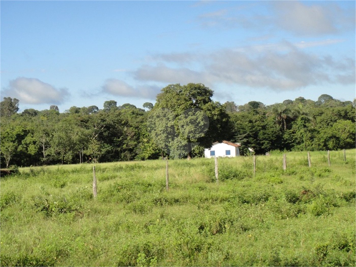 Fazenda à venda com 2 quartos em Canabrava, João Pinheiro, MG