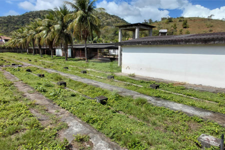 Terreno à venda com 3 suítes em Bazílio, Rio Bonito, RJ