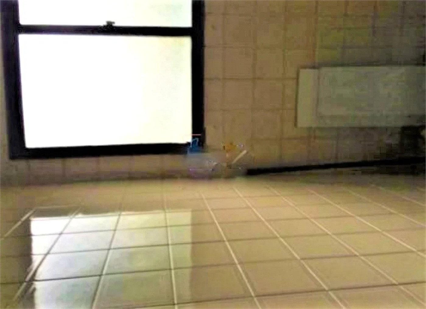 Apartamento à venda com 2 quartos, sendo 1 suíte, em Vila Polopoli, São Paulo, SP