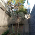 Prédio à venda no Centro, Guarulhos, SP