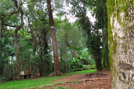 Chácara à venda com 5 quartos, sendo 2 suítes,  em Chácara Recreio Danubio, Holambra, SP