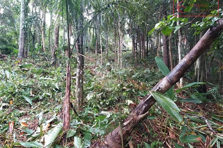 Terreno à venda em Serra da Cantareira, Mairiporã, SP