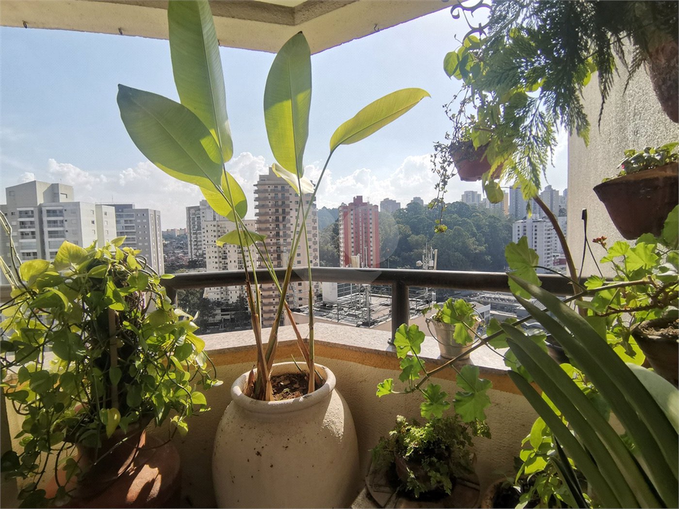 Apartamento à venda com 3 quartos, sendo 1 suíte, em Vila Andrade, São Paulo, SP