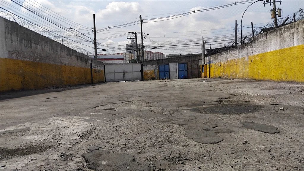 Terreno para alugar em Jardim Ivana, São Paulo, SP