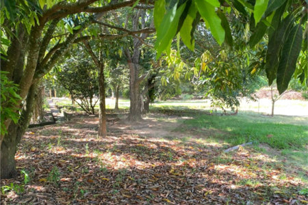 Terreno à venda em Dois Córregos, Piracicaba, SP