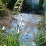 Terreno à venda em Tucuruvi, São Paulo, SP