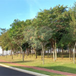 Terreno à venda em Residencial Alto do Castelo, Ribeirão Preto, SP