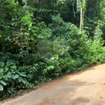 Terreno à venda no condomínio Campos de Mairiporã Gleba 1, Mairiporã - SP